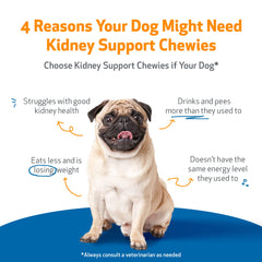 Pet Wellbeing Kidney Support Chewies ingredients—herbal blends like Rehmannia and Astragalus.