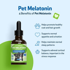 Pet Wellbeing Melatonin calming dog during nightly routine
