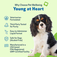 Pet Wellbeing Young at Heart bottle pour for easy mix-in with meals