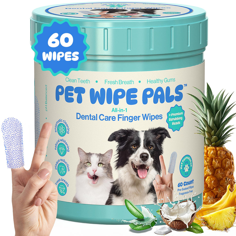 Pet Wipe Pals teeth wipes jar closeup for convenient daily dental care