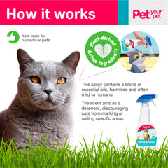 No Pee No Poop spray near litter box to speed kitten training