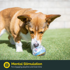 Pet Zone IQ Treat Ball in-use roll-to-dispense demonstrates treat rewards on the go.