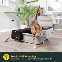 Pet Zone Self-Cleaning unit motor close-up showcases quiet operation for night use.