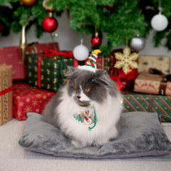 Petace outdoor heated cat bed waterproof base demonstrates weather-ready durability.