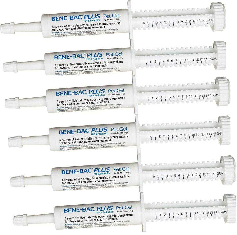 PetAg Bene-Bac Plus Gel 6-pack syringes, convenient at-home probiotic support.
