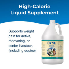 PetAg Dyne nutrition-dense energy boost for show-ready animals in small volumes.