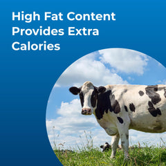 PetAg Dyne show-ready nutrition aids conditioning and preparation for events.