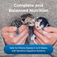 PetAg Goat's Milk KMR powder dissolving in warm water for kitten feeding.