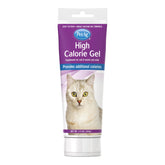 PetAg high-calorie gel for cats chicken flavor jar demonstrates quick energy boost