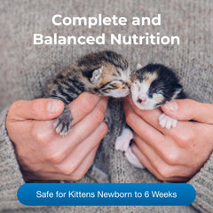 PetAg KMR prebiotic-probiotic formula highlights gut-friendly nutrition for kittens.