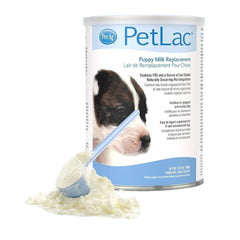 Puppy drinking PetLac milk showing comfortable acceptance and digestion.