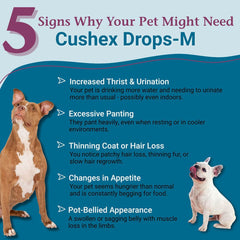 PetAlive Cushex Drops-M bottle-closeup-label showing safe, homeopathic formulation and HPUS-listed ingredients.