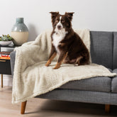 PetAmi fluffy waterproof blanket on a sofa protecting furniture from spills and fur