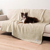 PetAmi fluffy waterproof blanket on a sofa provides stain protection and cozy comfort.