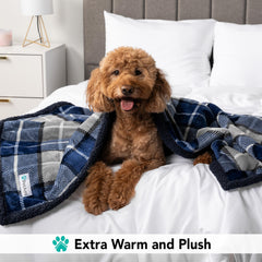 PetAmi machine-washable blanket simplifies cleanup after pet adventures
