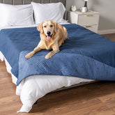 PetAmi waterproof bed cover on a blue sofa protects against spills and pet dander.