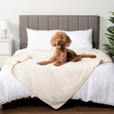 PetAmi waterproof dog blanket on a couch provides couch-protection against spills.