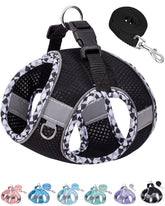 Petank medium dog harness in black, front view, secure walking comfort.
