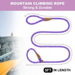 Petarea slip leash comfort loop shown for careful, collar-free control