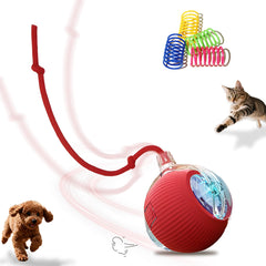 Petayouj interactive ball demonstrates 360 rotation for engaging indoor chase play.