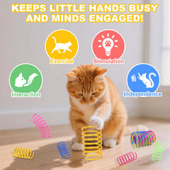 Petayouj interactive cat ball rotating motion in action on carpet