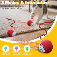 Petayouj interactive cat ball side view showing smooth rotation