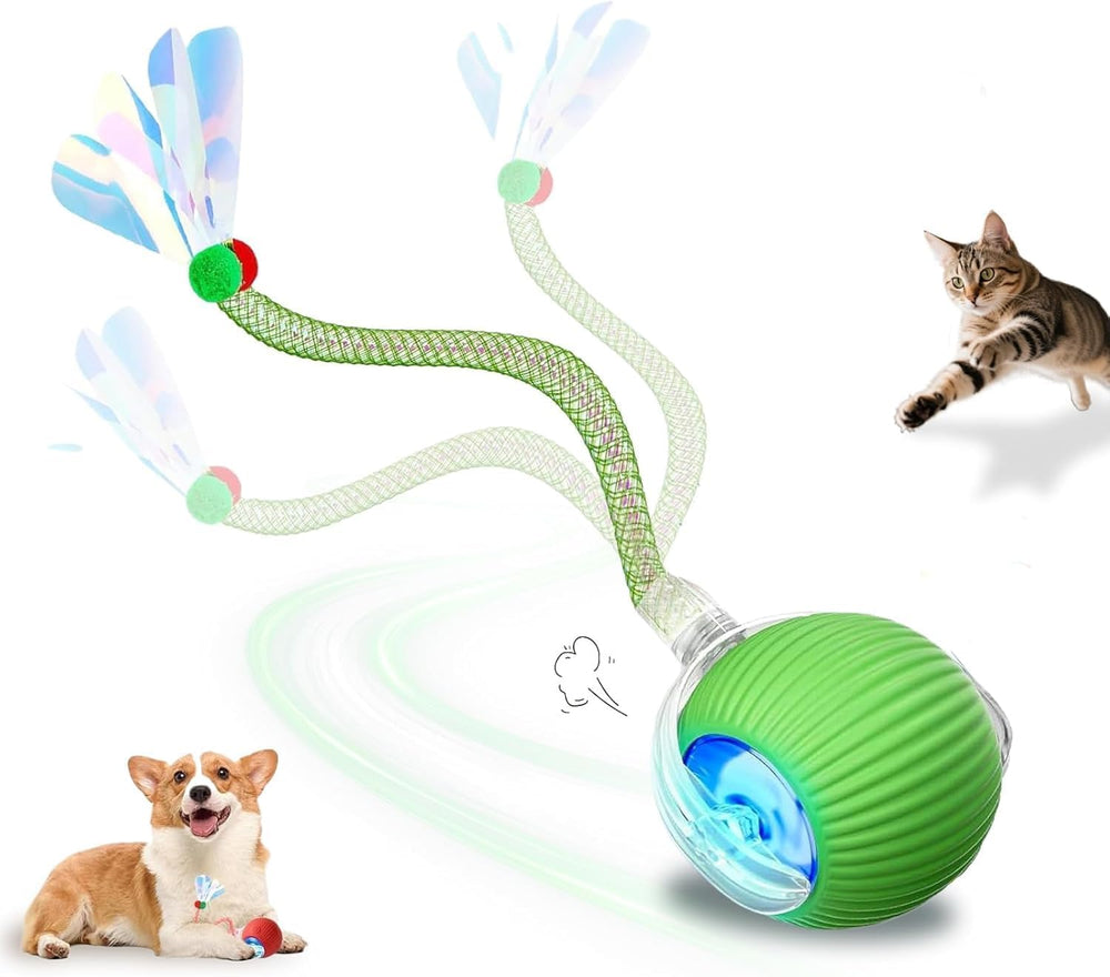 Petayouj interactive cat toy ball 360-degree rotation for engaging indoor play.