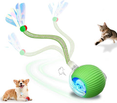 Petayouj interactive cat toy ball 360-degree rotation for engaging indoor play.