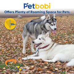 Petbobi 360-degree rotating clip no-tangle during outdoor use.
