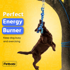 Petbobi Bungee Dog Toy stainless-steel spring cushions shocks during powerful pulls.
