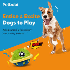 Petbobi interactive dog toy bounce action – encourages chase and exercise.