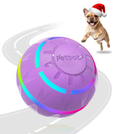 Petbobi interactive dog toy rolling ball in purple for indoor play.