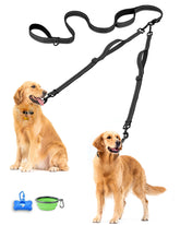 PetBonus double dog leash with a tangle-free swivel for smoother two-dog walks