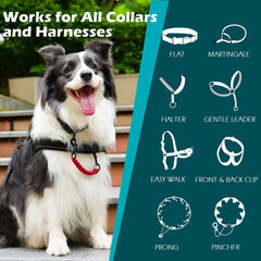PetBonus double ended clasp rotates 360 degrees for secure attachment