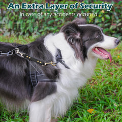 PetBonus durable zinc alloy hardware on clip supports outdoor adventures.
