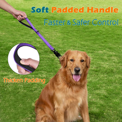 PetBonus quick-release clasp leash supports one-handed fastening and quick release
