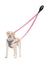 PetBonus two point control leash front-control view highlights dual clips for gentler steering.