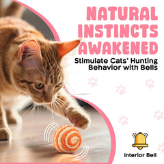 PetBox Cutie's woven multicolor balls encourage interactive play and owner bonding.