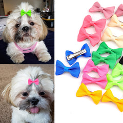 Petbuy dog bows with clips and bands demonstrate quick secure grooming accessory