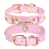 PETCARE pink small-dog collar for daily fashion appeal