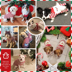 PETCARE dog sweater knit texture highlights soft fabric and breathable comfort
