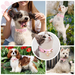 PETCARE premium PU leather collar offers soft comfort