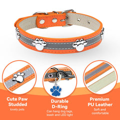 Petcare reflective collar buckle close-up showing secure fit for daily walks