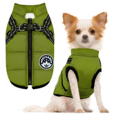 Petcare winter dog coat harness built-in on dog for easy dressing and secure fit.