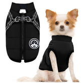 Petcare Winter Dog Coat on dog back offers cozy warmth for snowy walks