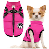 Petcare winter dog coat with harness, showcasing integrated harness for secure walks.