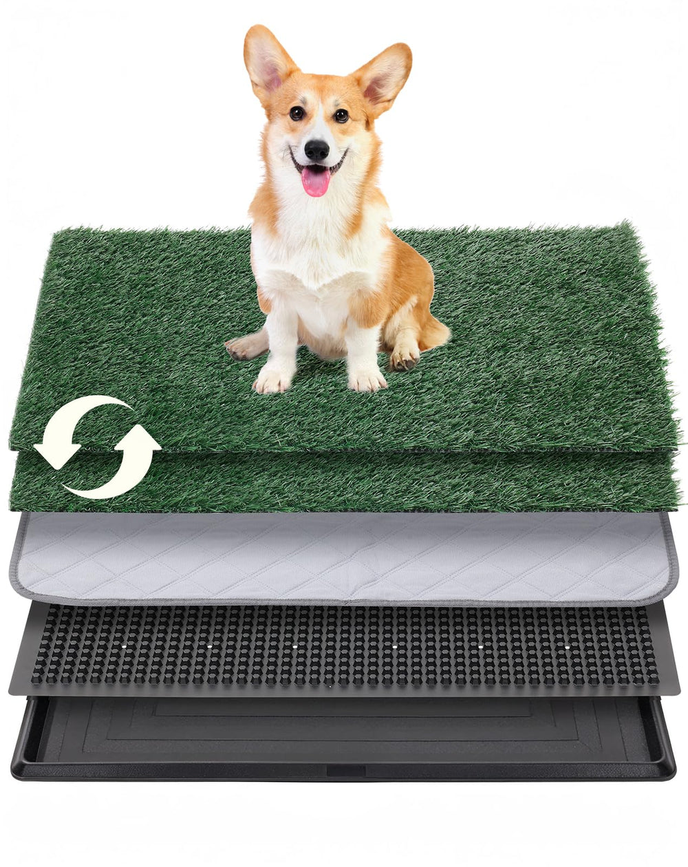 Petcozife tray-setup demonstrates an easy indoor potty with a leak-proof tray.