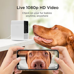 Petcube Cam 2-Way Audio: talk to pets and reinforce positive behavior.