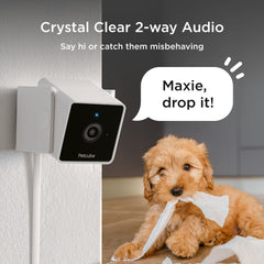 Petcube Cam Night Vision: clear visibility for pets after dark.
