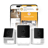 Petcube Cam Pack 3 overview: wide indoor view for around-the-clock pet monitoring.